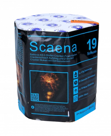 Scaena, 19 Schuss Batterie
